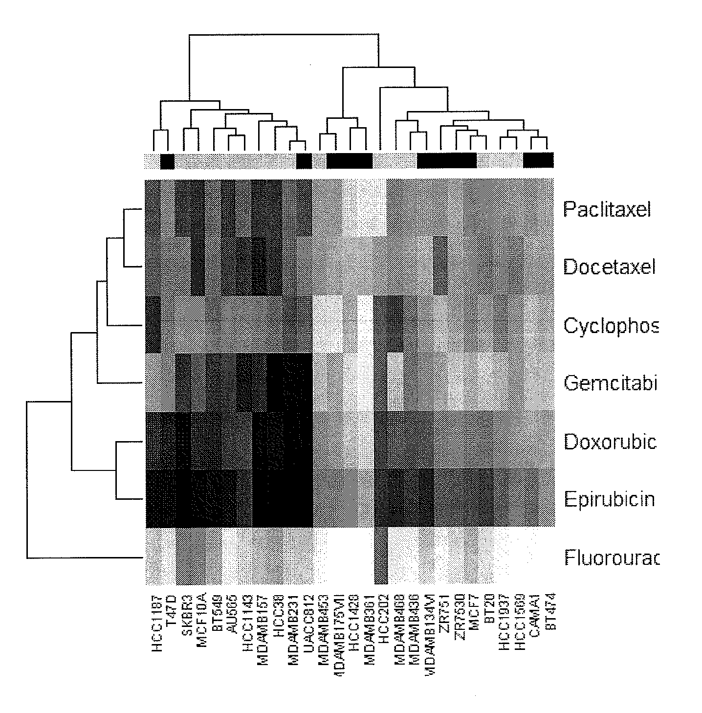 Multi drug response markers for breast cancer cells