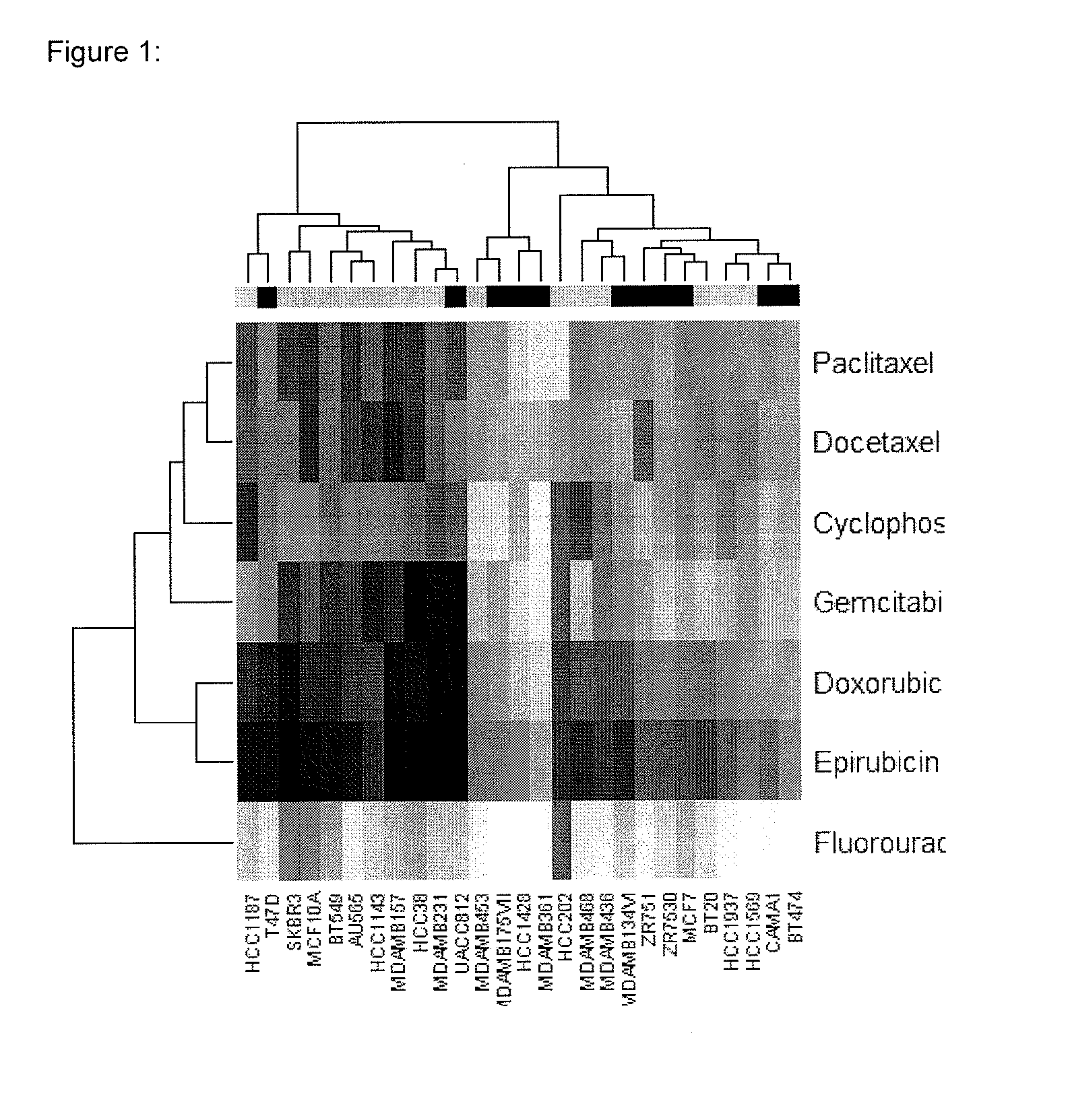 Multi drug response markers for breast cancer cells