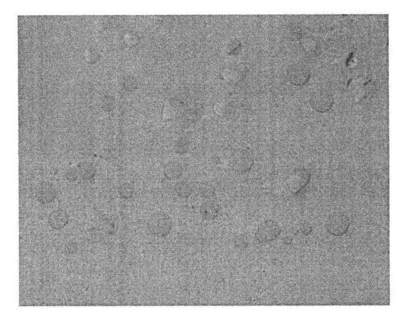 Laser surface cladding method of straightening roller