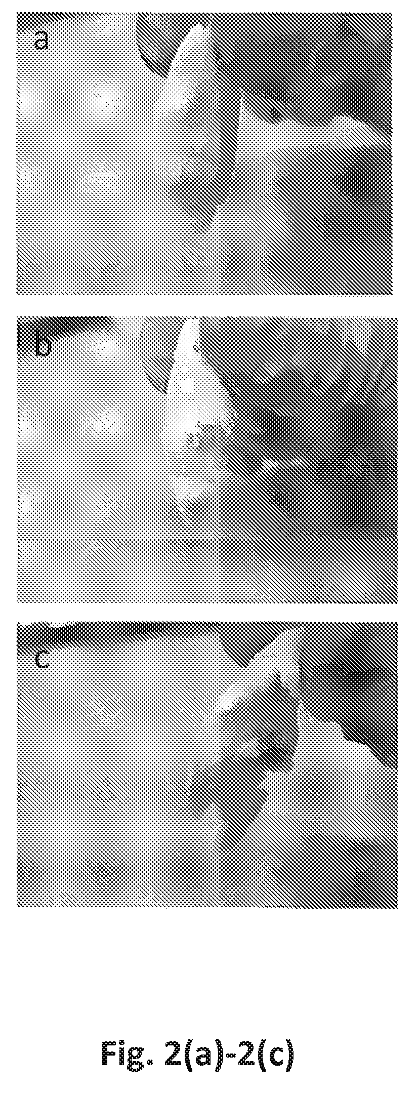 Compositions and methods for repairing bone