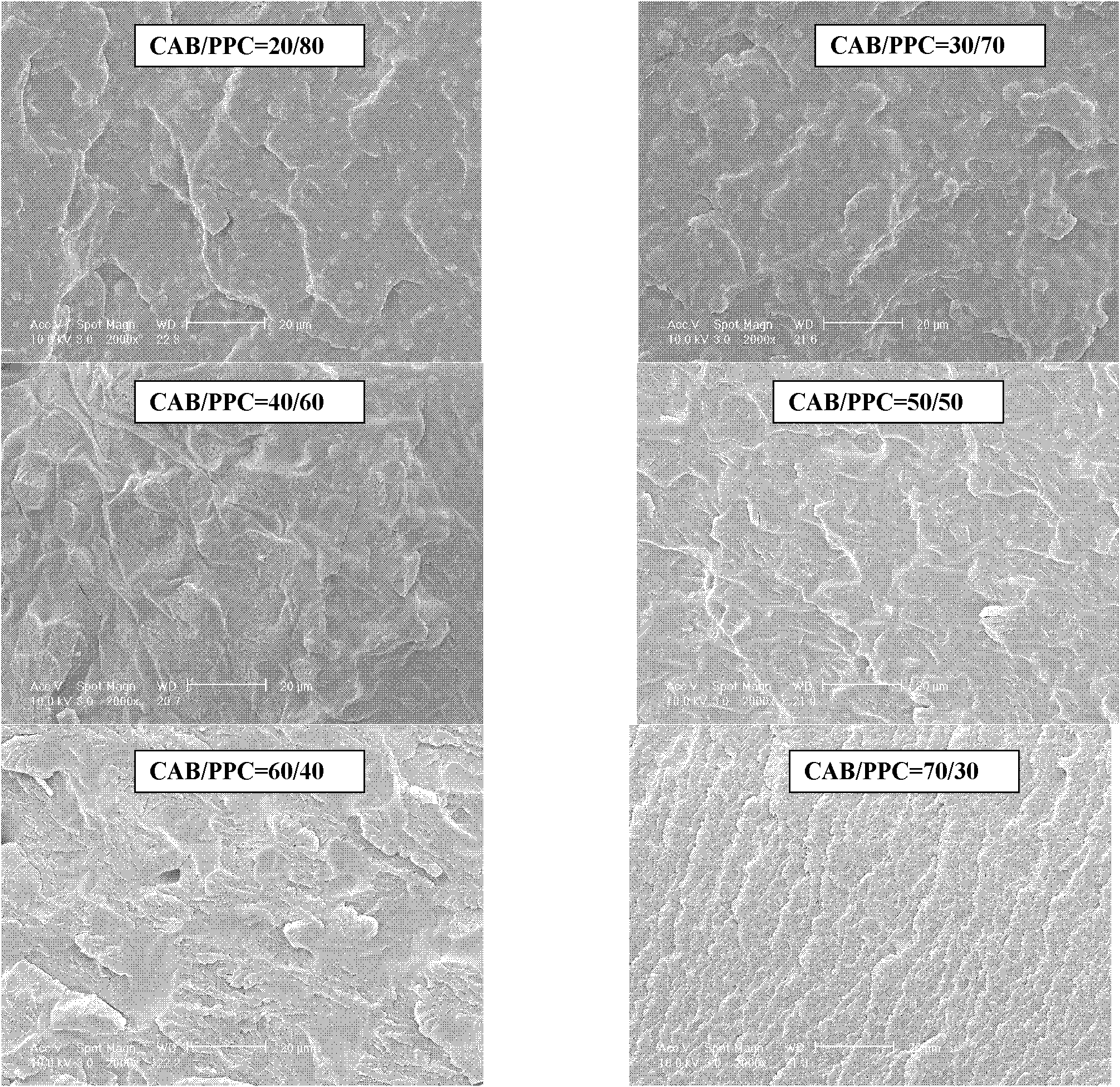 Aliphatic polycarbonate alloy material