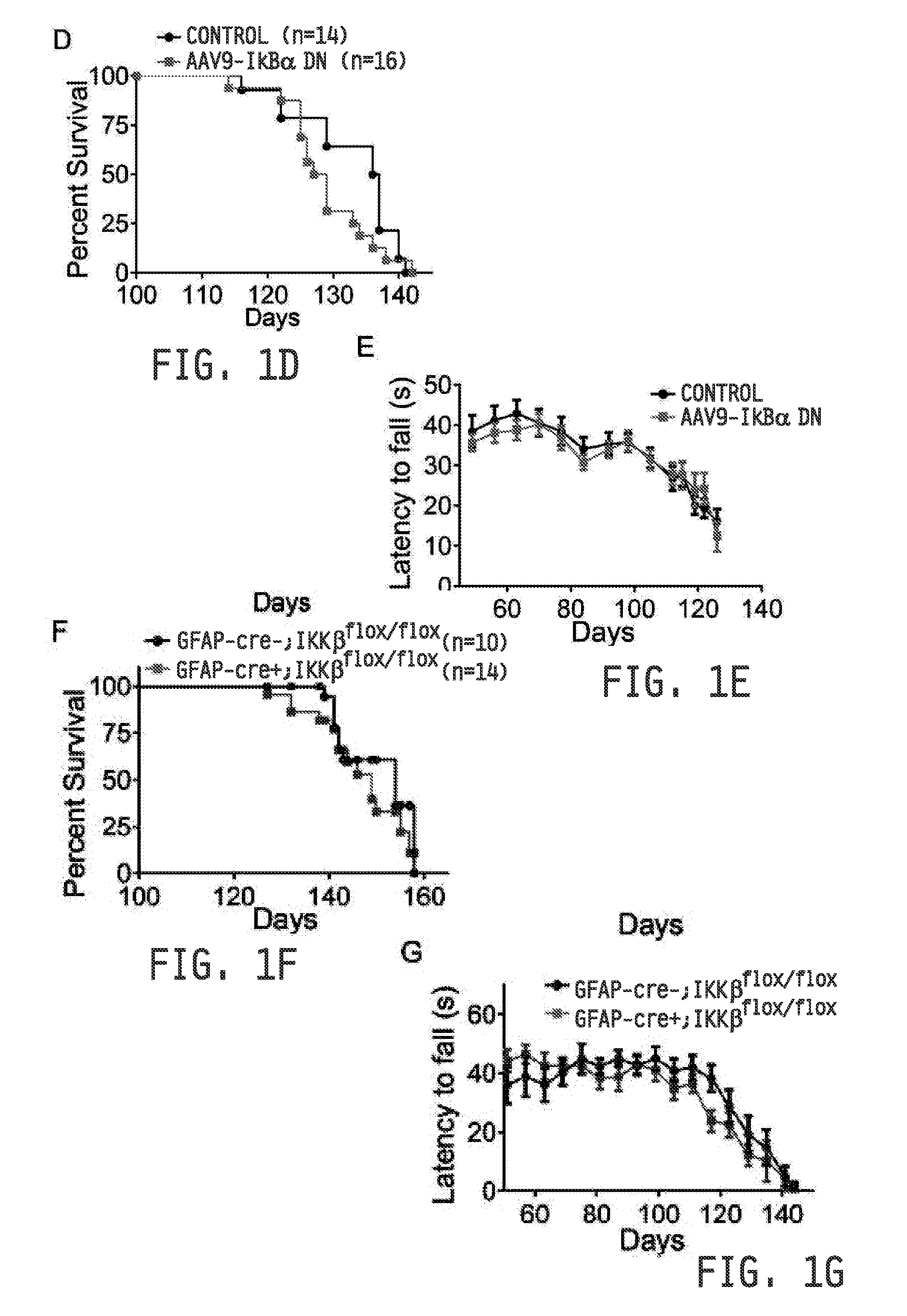 COMPOSITIONS AND METHODS FOR INHIBITING NF- kB AND SOD-1 TO TREAT AMYOTROPHIC LATERAL SCLEROSIS