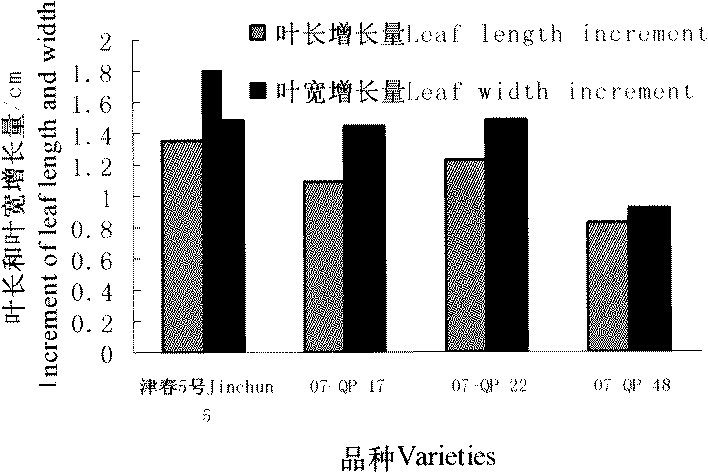 Method for identifying early-stage chilling tolerance of cucumis sativus L