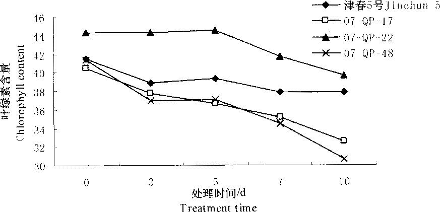 Method for identifying early-stage chilling tolerance of cucumis sativus L