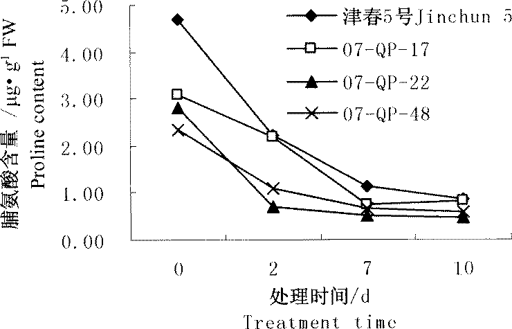 Method for identifying early-stage chilling tolerance of cucumis sativus L