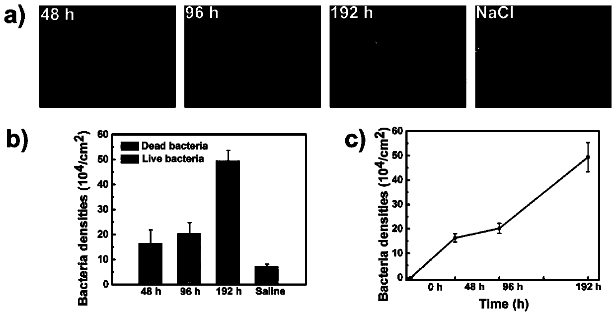 Antibacterial hydrogel with sterilization, low bacterial adhesion and bacterial release, and preparation method and application thereof