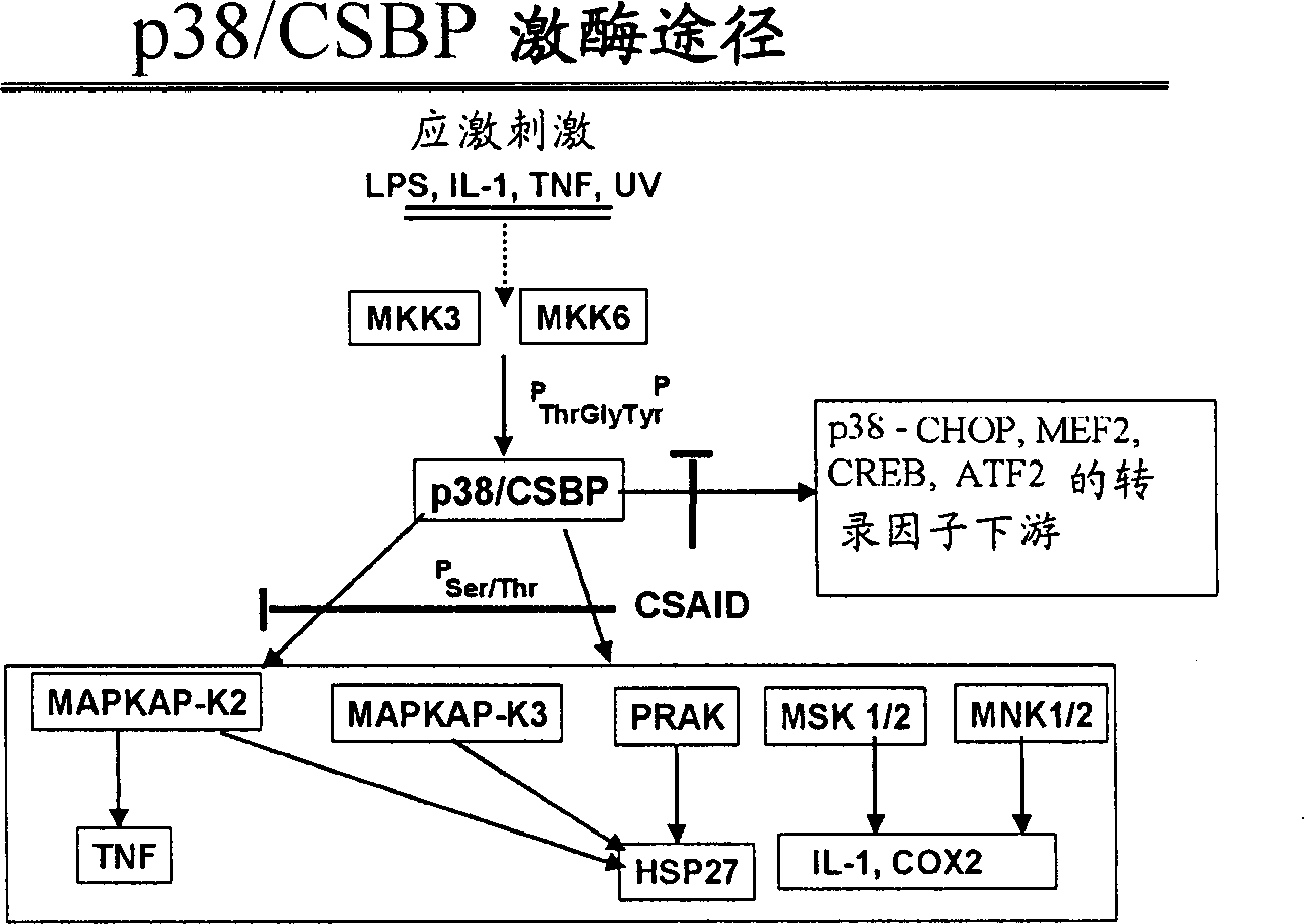 Novel compounds