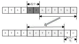 A complex chemical process modeling method based on dna genetic algorithm based on bee colony behavior