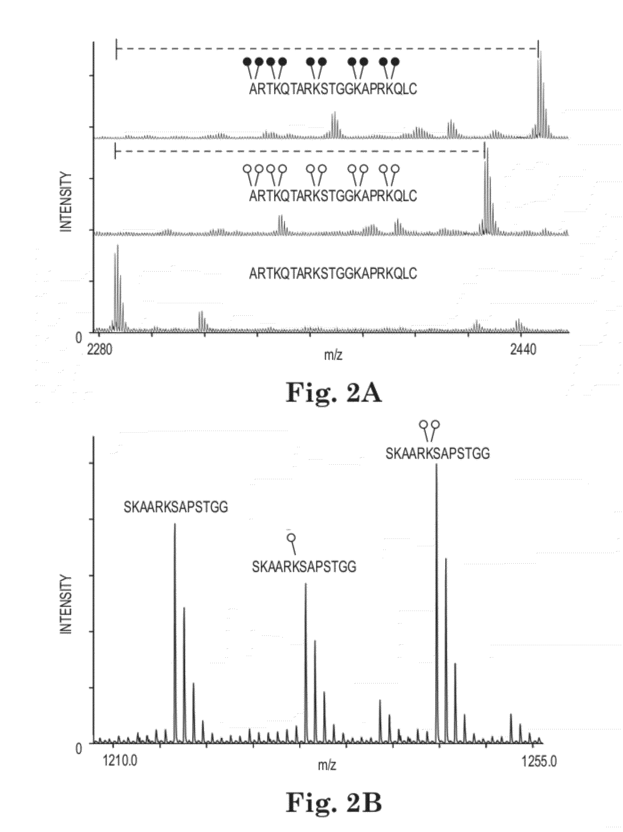 Methods and Kits for Quantitative Methyltransferase and Demethylase Measurements