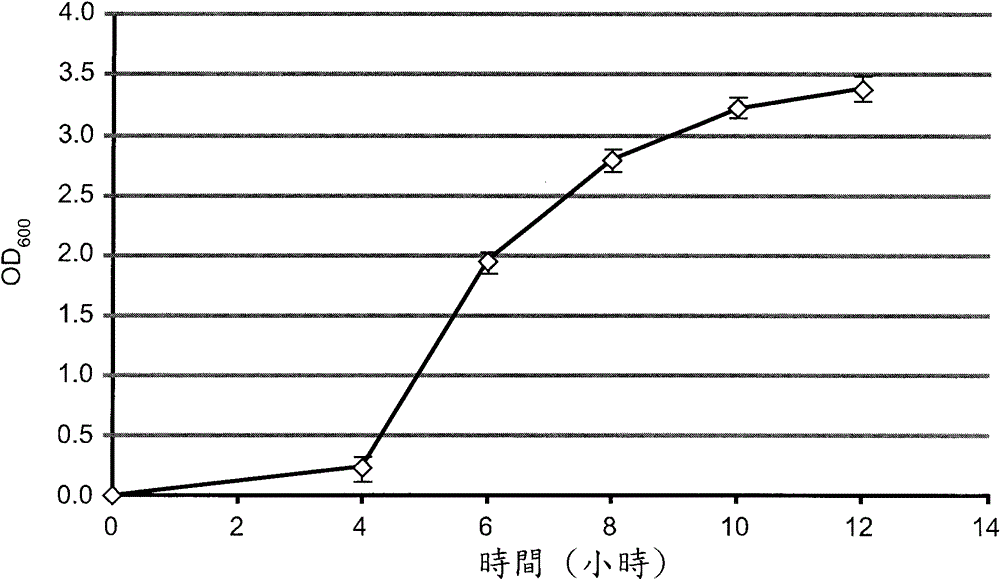 Novel probiotic strain and application thereof