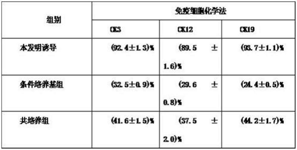 A serum-free complete medium for inducing mesenchymal stem cells to differentiate into corneal epithelial cells