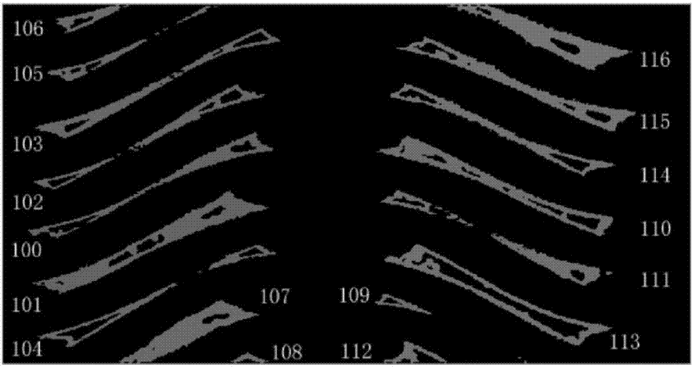 A Computer Graphics Recognition Method for Mesostructure of Composite Materials