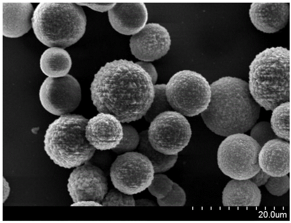 Preparation method and application of cobalt sulfur compound