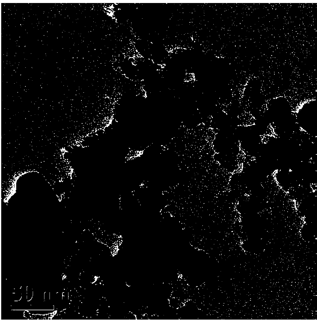 One-step preparation method and application of supported platinum-based multi-metal catalysts