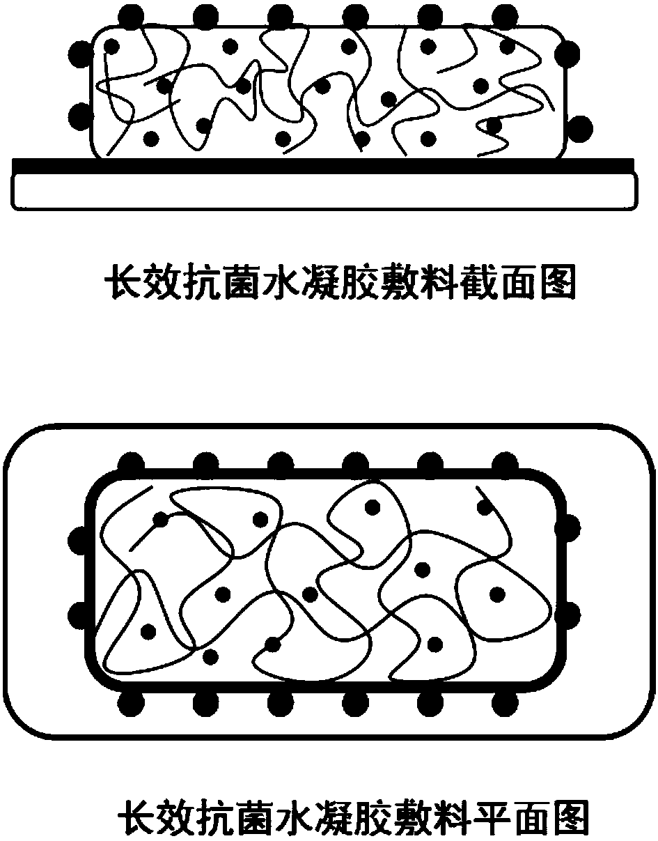 A thermosensitive arginine-based long-acting antibacterial hydrogel dressing and preparation method thereof