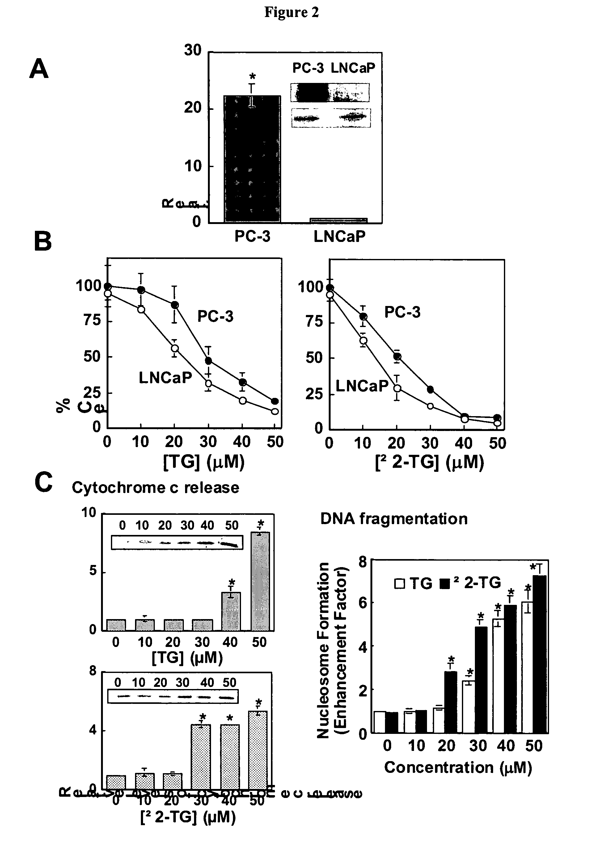 Small molecule Bcl-xL/Bcl-2 binding inhibitors