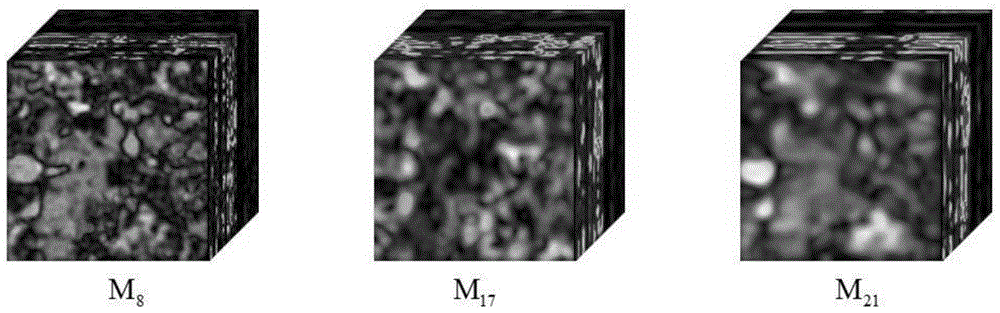 High spectral remote sensing image classification method and system based on three-dimensional Gabor feature selection