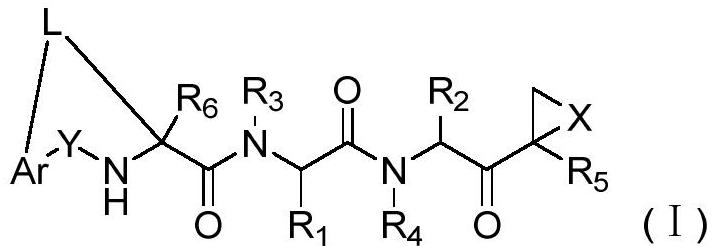 Tripeptide macrocyclic derivatives, preparation method and application thereof