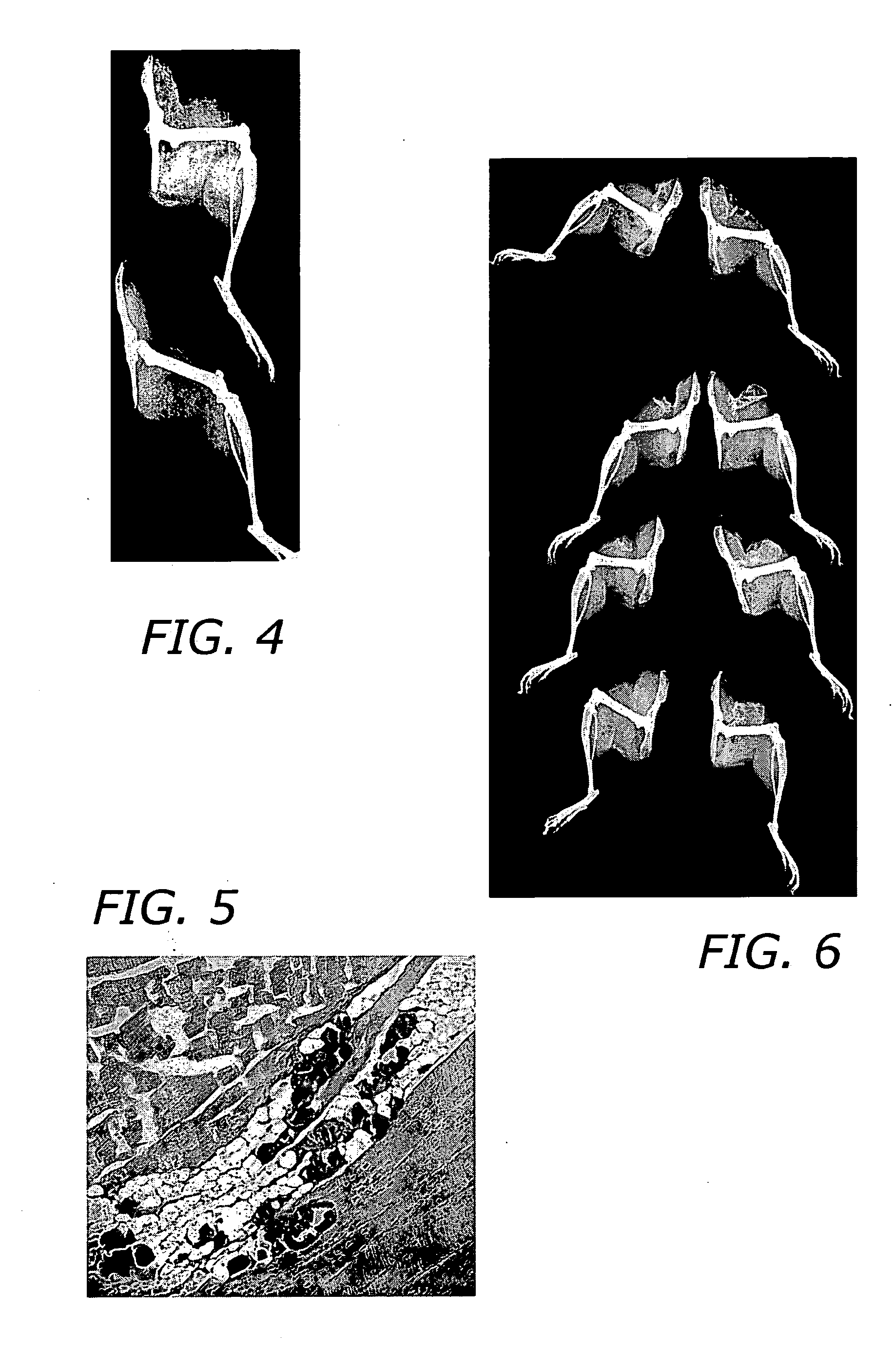 Enhancement of bmp retention