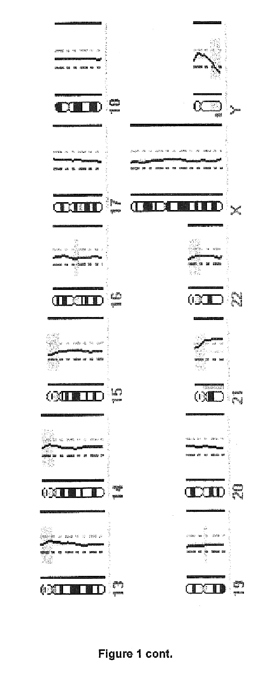 DNA amplification of a single cell