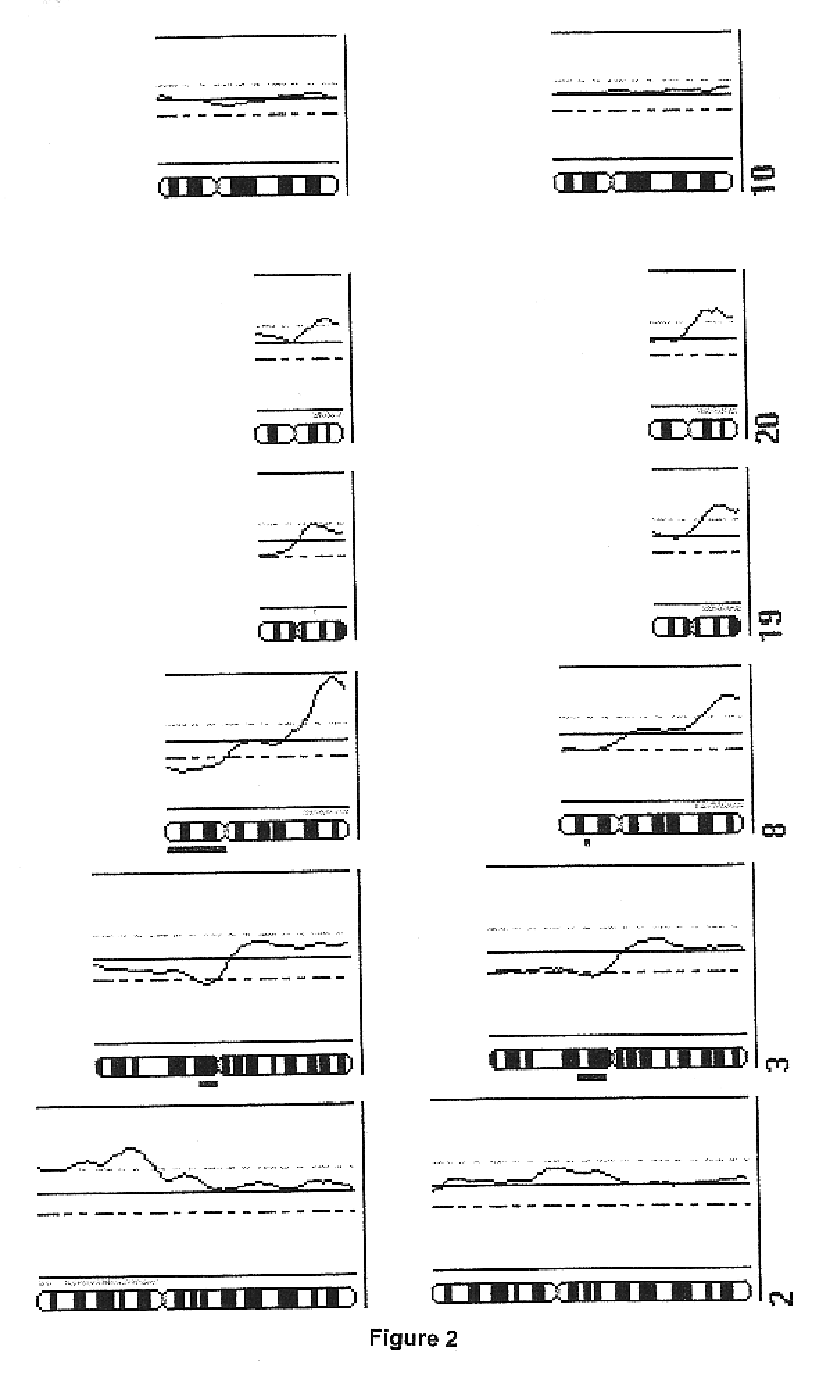 DNA amplification of a single cell