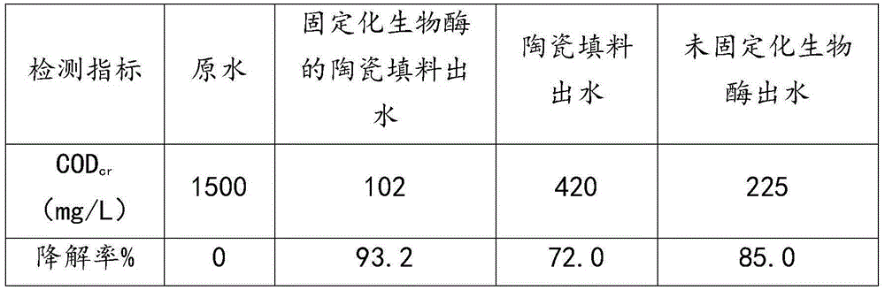 Method for immobilizing bio-enzyme in ceramic filling material