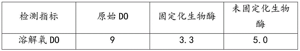 Method for immobilizing bio-enzyme in ceramic filling material