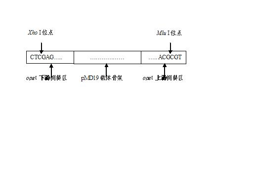 Gonococcus immunodepression mutant gene delta opaI and mutation method thereof