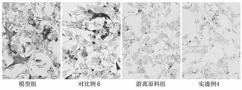 Whitening composition and preparation method thereof