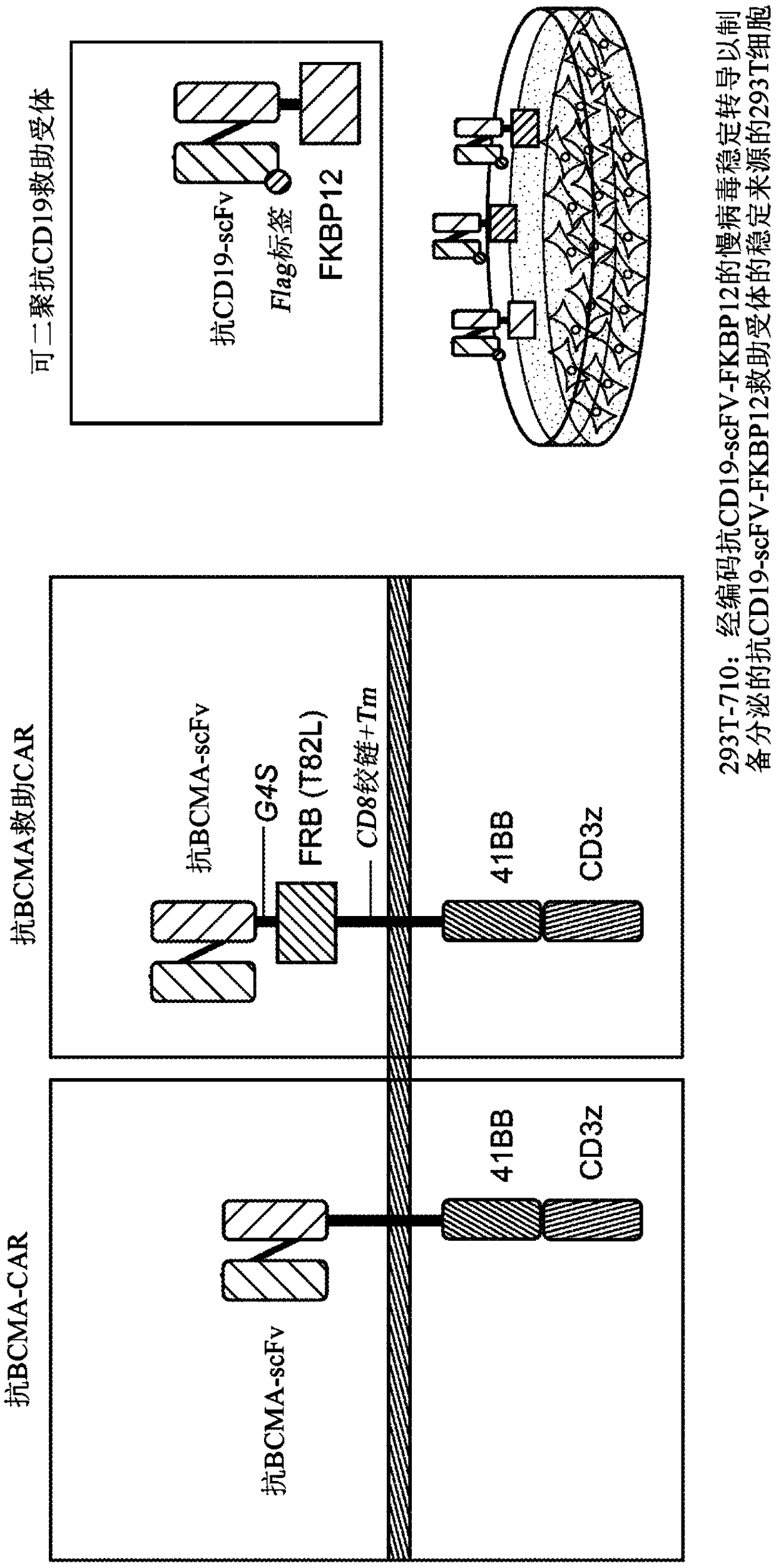 Salvage chimeric antigen receptor systems