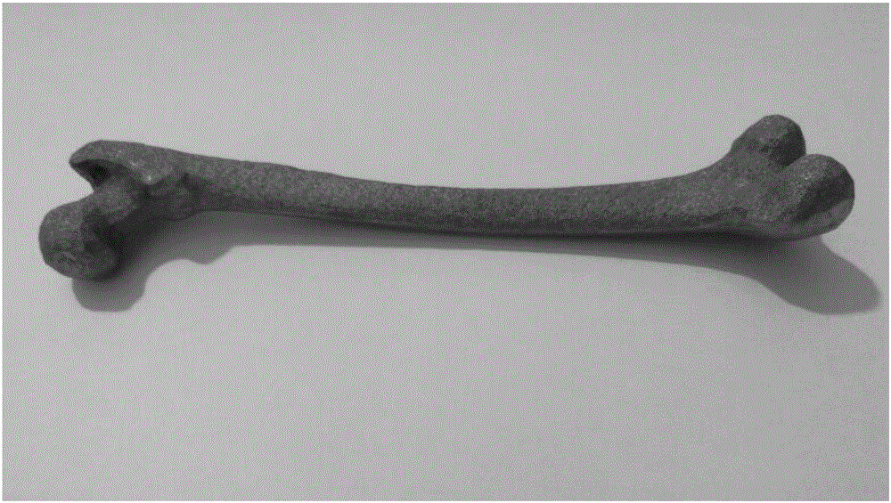 Tantalum or niobium or tantalum and niobium alloy additive manufacturing method