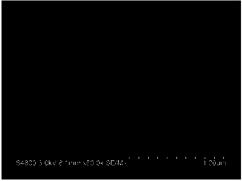 Method for preparing carbon nitride nanoribbon and secondary assembly structure of carbon nitride nanoribbon