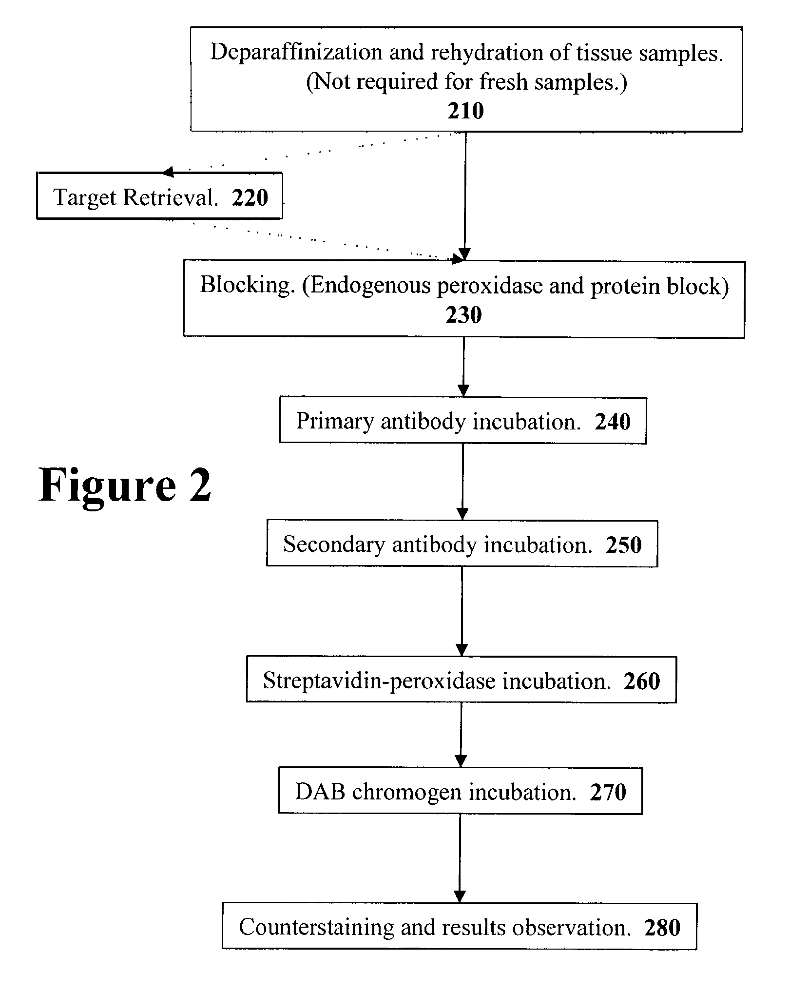 High affinity monoclonal antibody for recognizing the progesterone receptor (PR) and method for creating the antibody