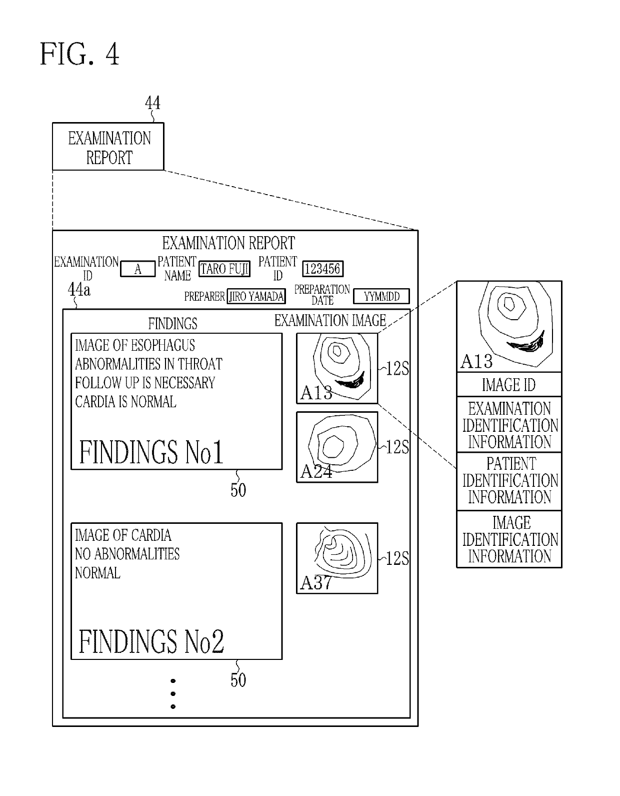 Apparatus, method, and non-transitory computer-readable medium for supporting viewing examination images