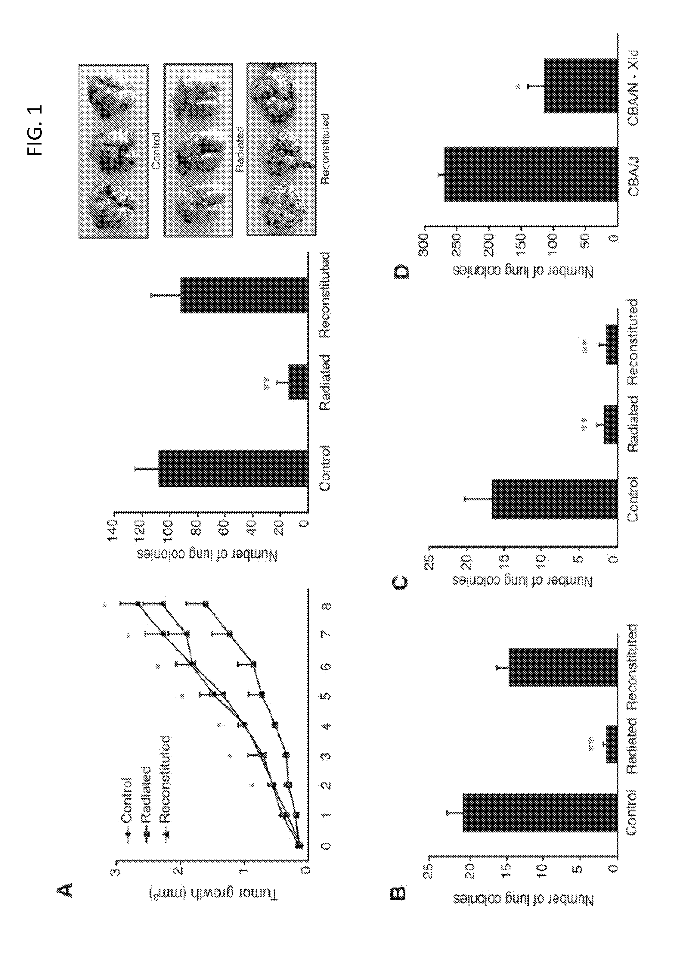 Muc18 targeting peptides