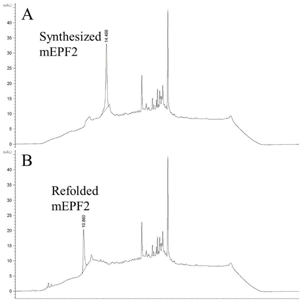 A method for improving the drought resistance of apples by external application of artificial synthetic peptides