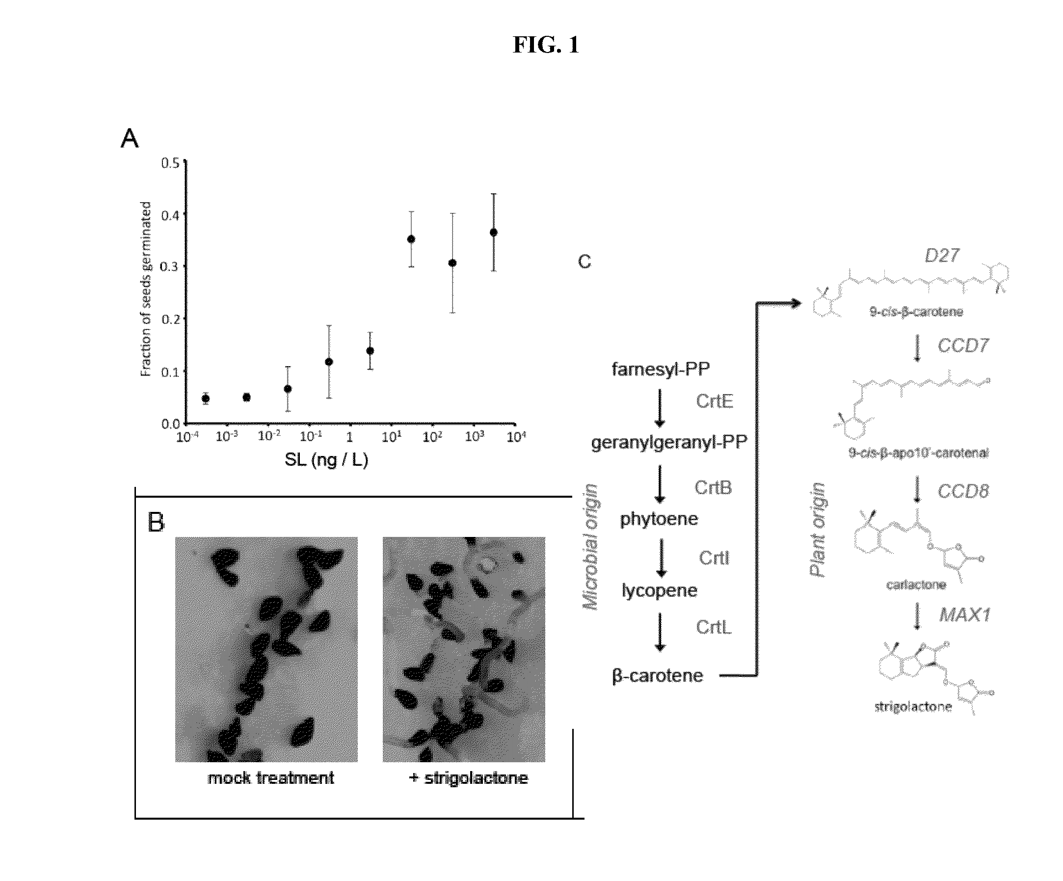 Strigolactone formulations and uses thereof