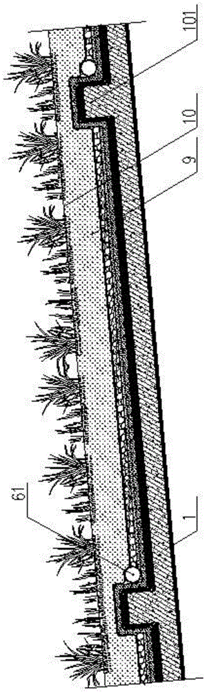 Large-space saddle-shaped overall greening roof system