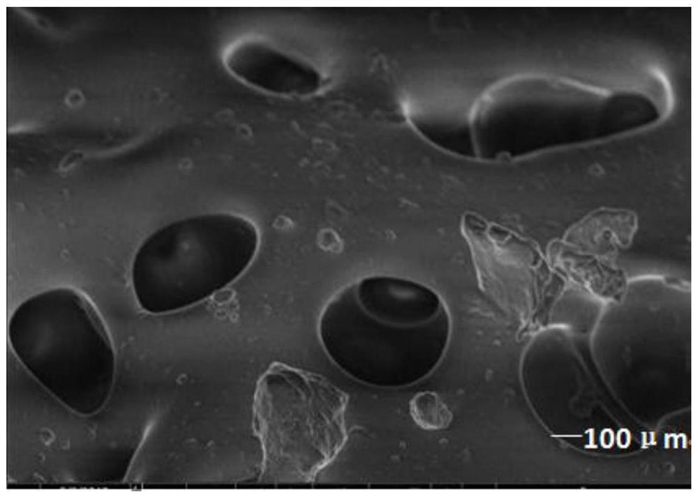 A kind of composite fulvic acid antibacterial sponge matrix and preparation method and application thereof