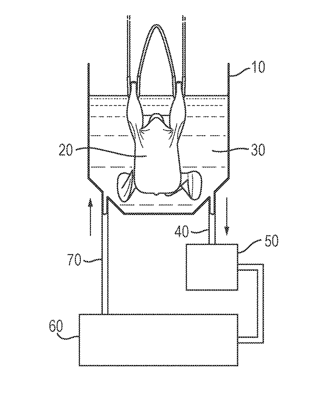 Electrolyzed water composition