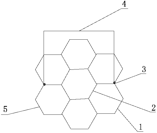 Freeze drying preparation method of fruit and vegetable crisp slices