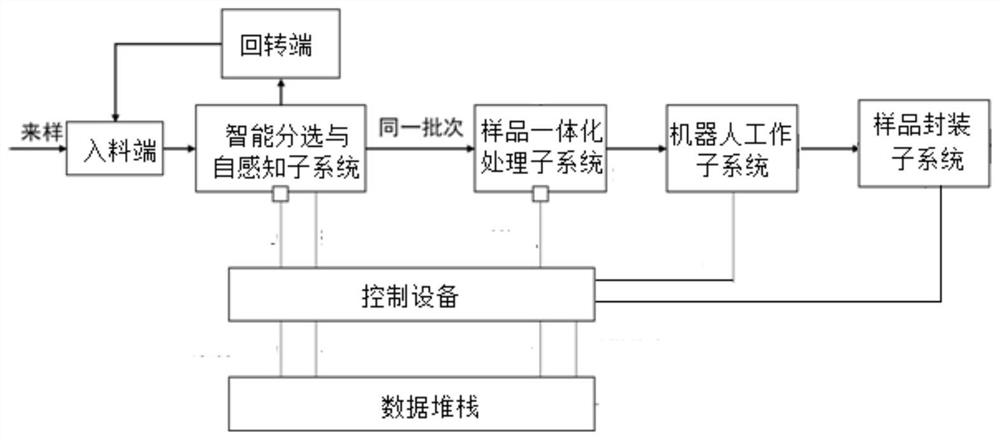 Solid mineral sample preparation system and method