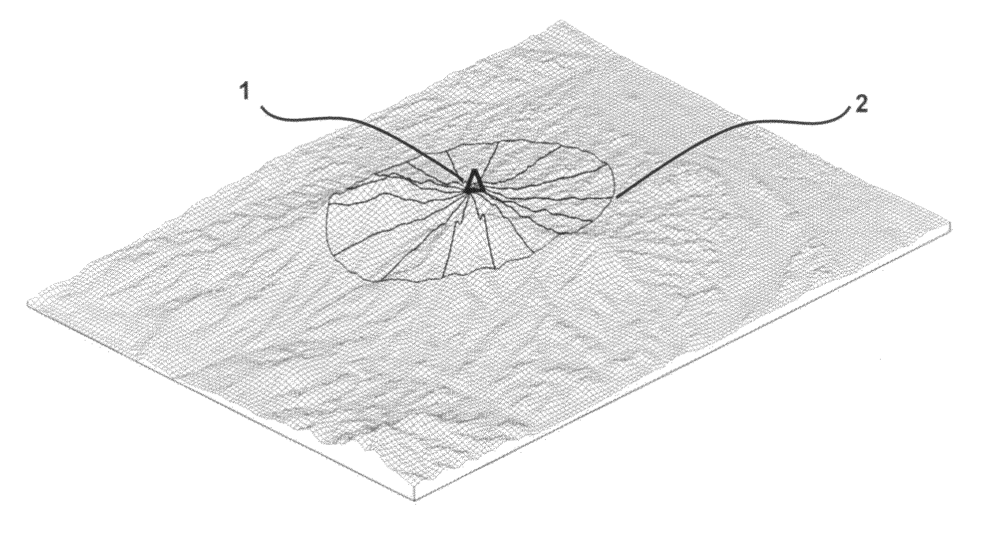 Method of evaluating wind flow based on terrain exposure and elevation