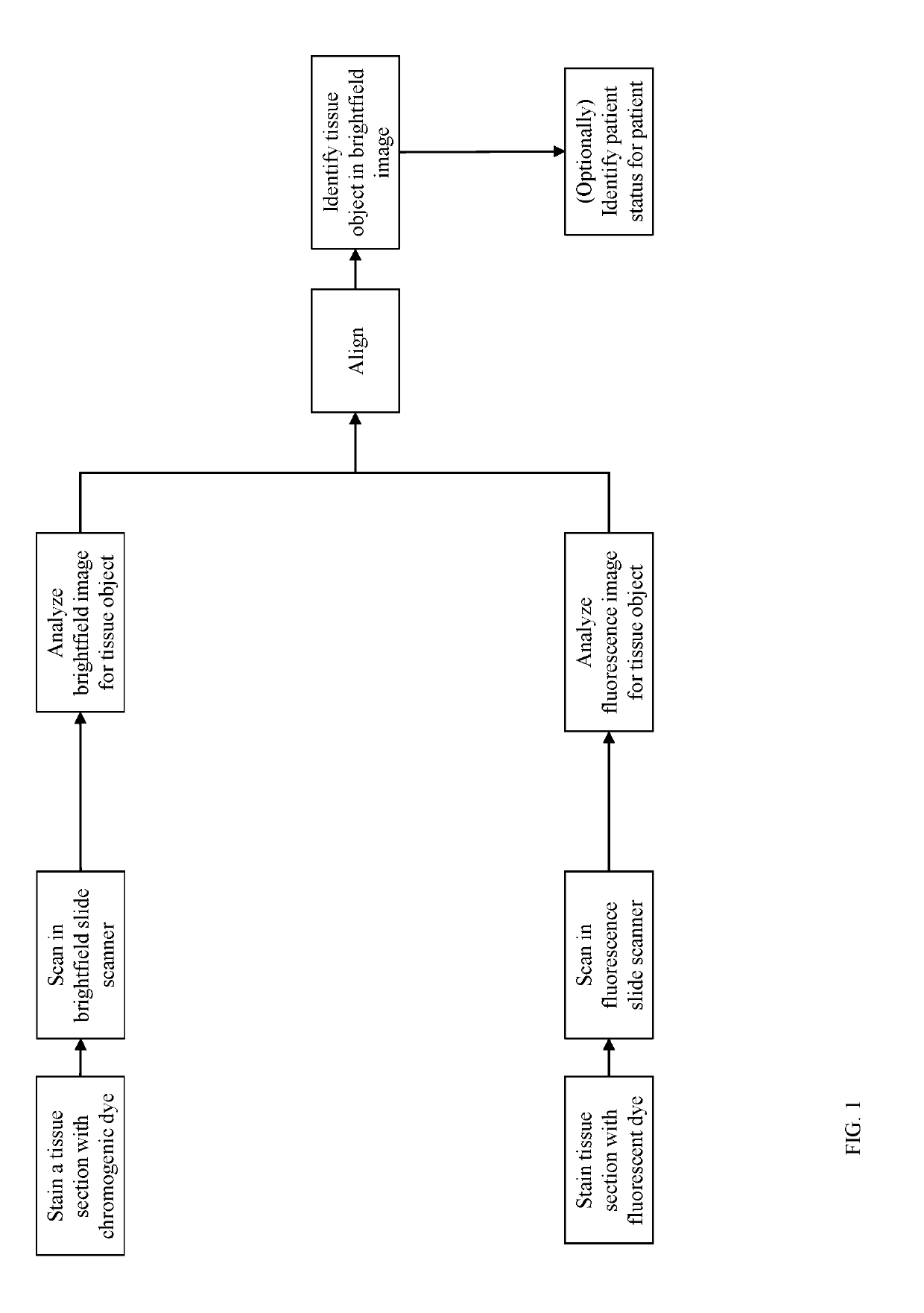 Method for Identification of Tissue Objects in IHC Without Specific Staining