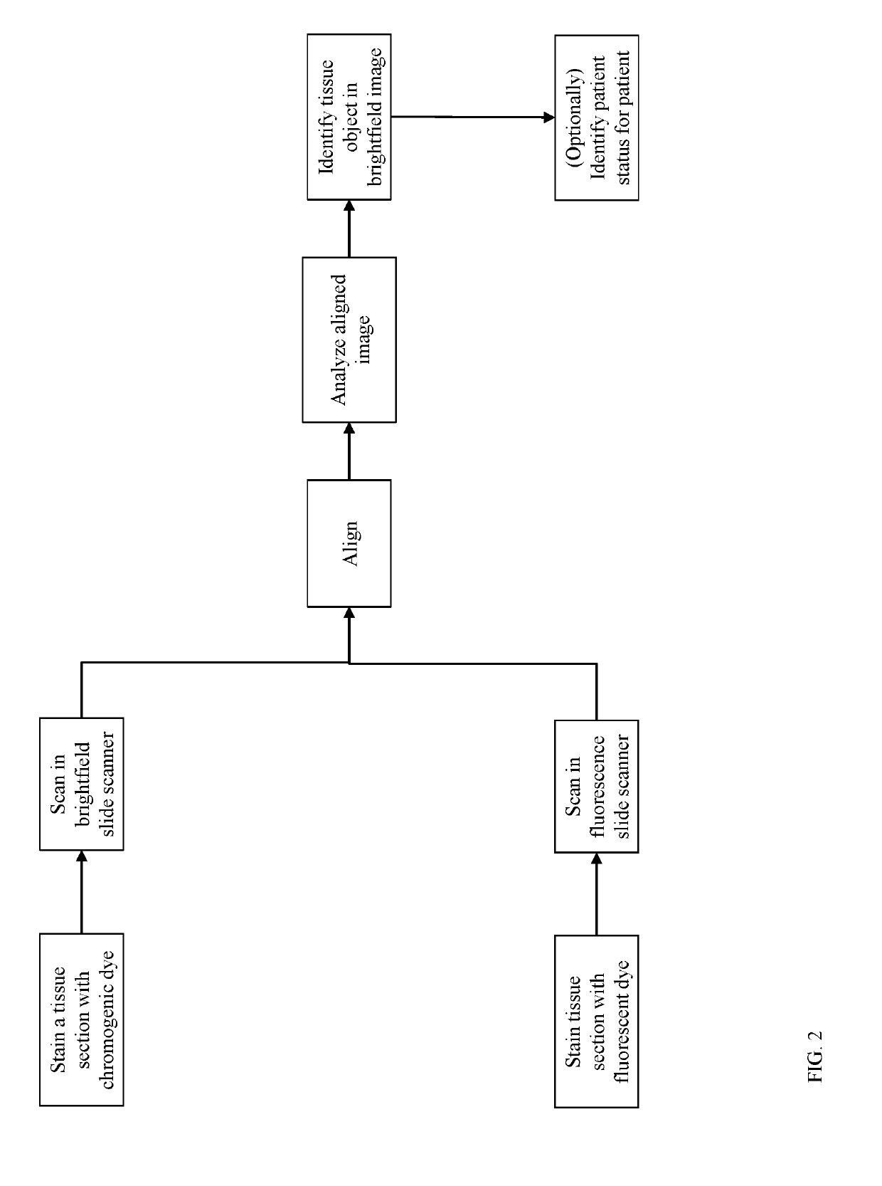 Method for Identification of Tissue Objects in IHC Without Specific Staining