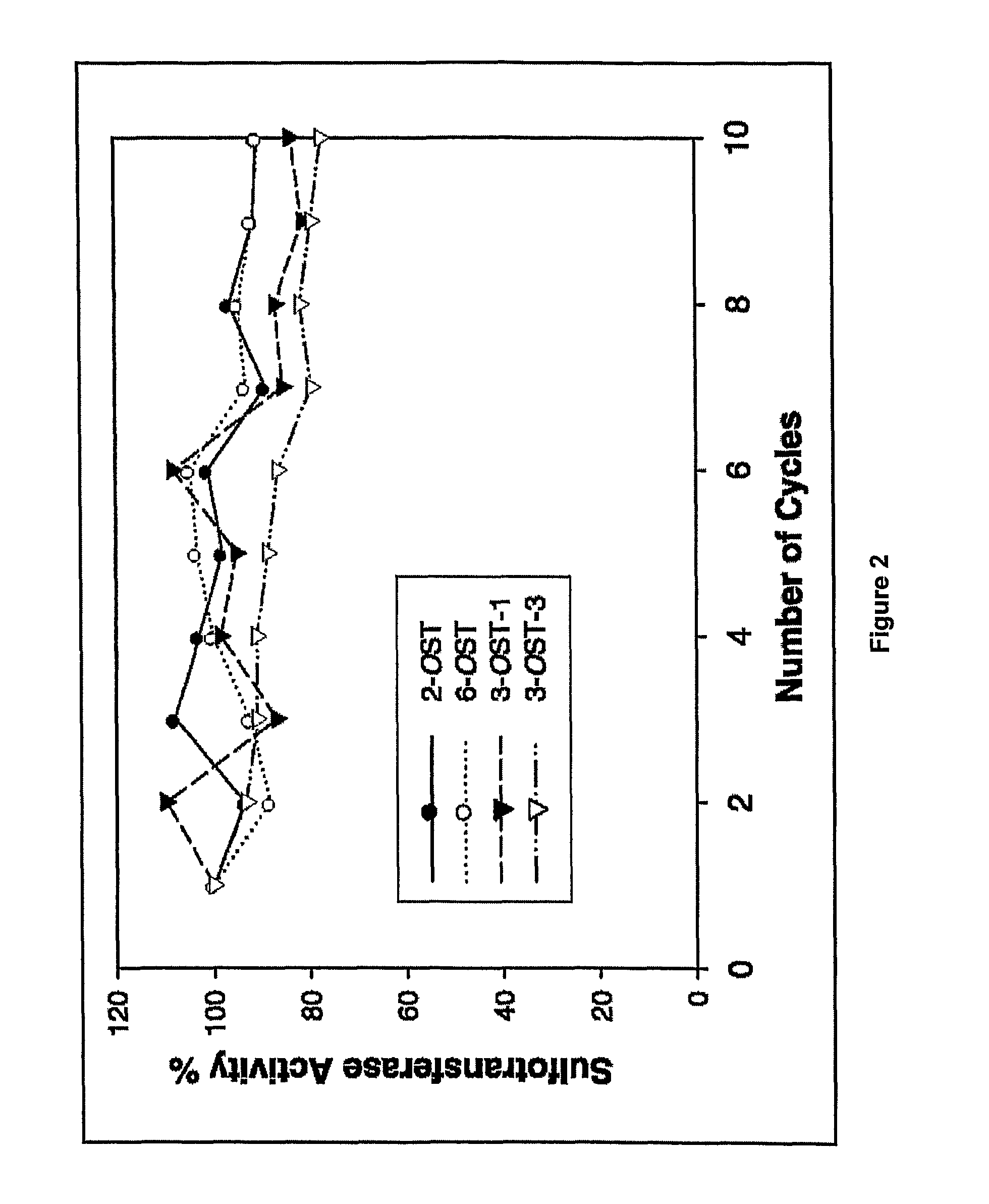 Enzymatic synthesis of sulfated polysaccharides