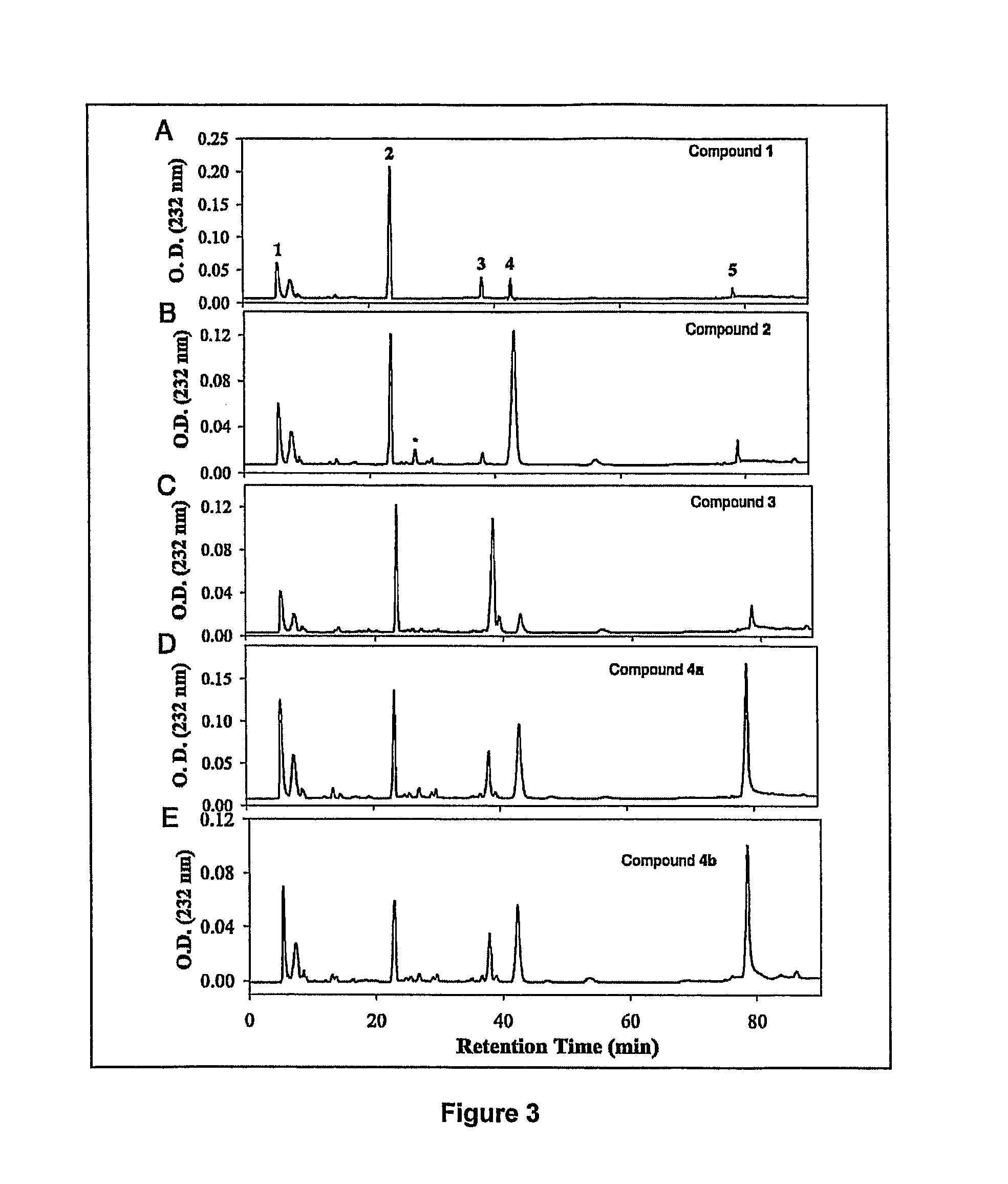 Enzymatic synthesis of sulfated polysaccharides