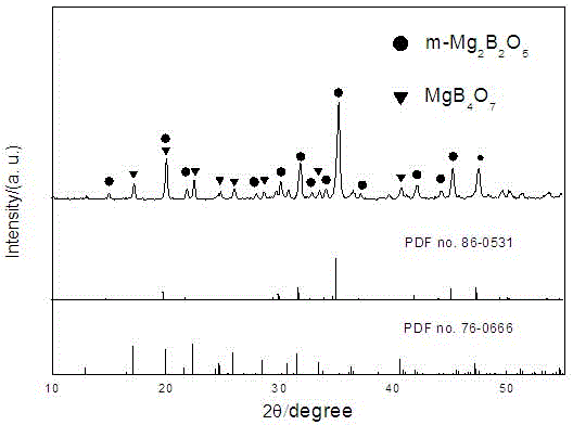 Method for preparing high-porosity in-situ grown magnesium borate whisker porous ceramics