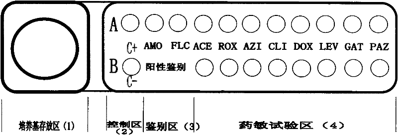 Mycoplasma culture identification and medicine sensitive detection plate and method for identifying truth of result of C+ hole