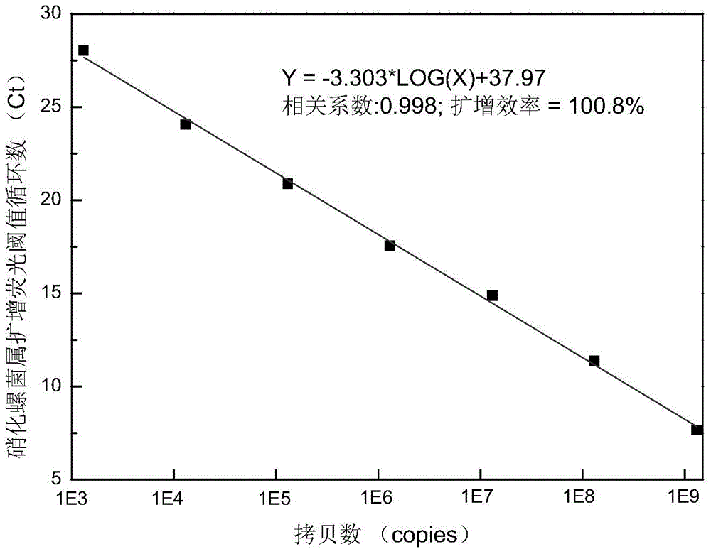 Fluorescent quantitative PCR detection method of nitrite oxidizing bacteria from sewage treatment plant